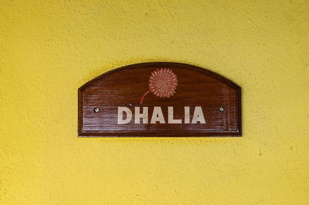 Presa Di Goa - Smith And Appy Managed Otel Calangute Dış mekan fotoğraf